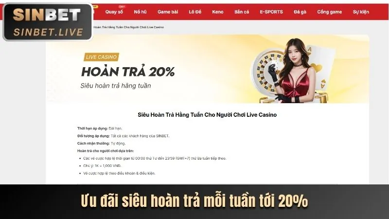 Chức năng kiểm tra thực tế